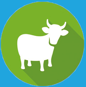 Rankschik uw dieren
